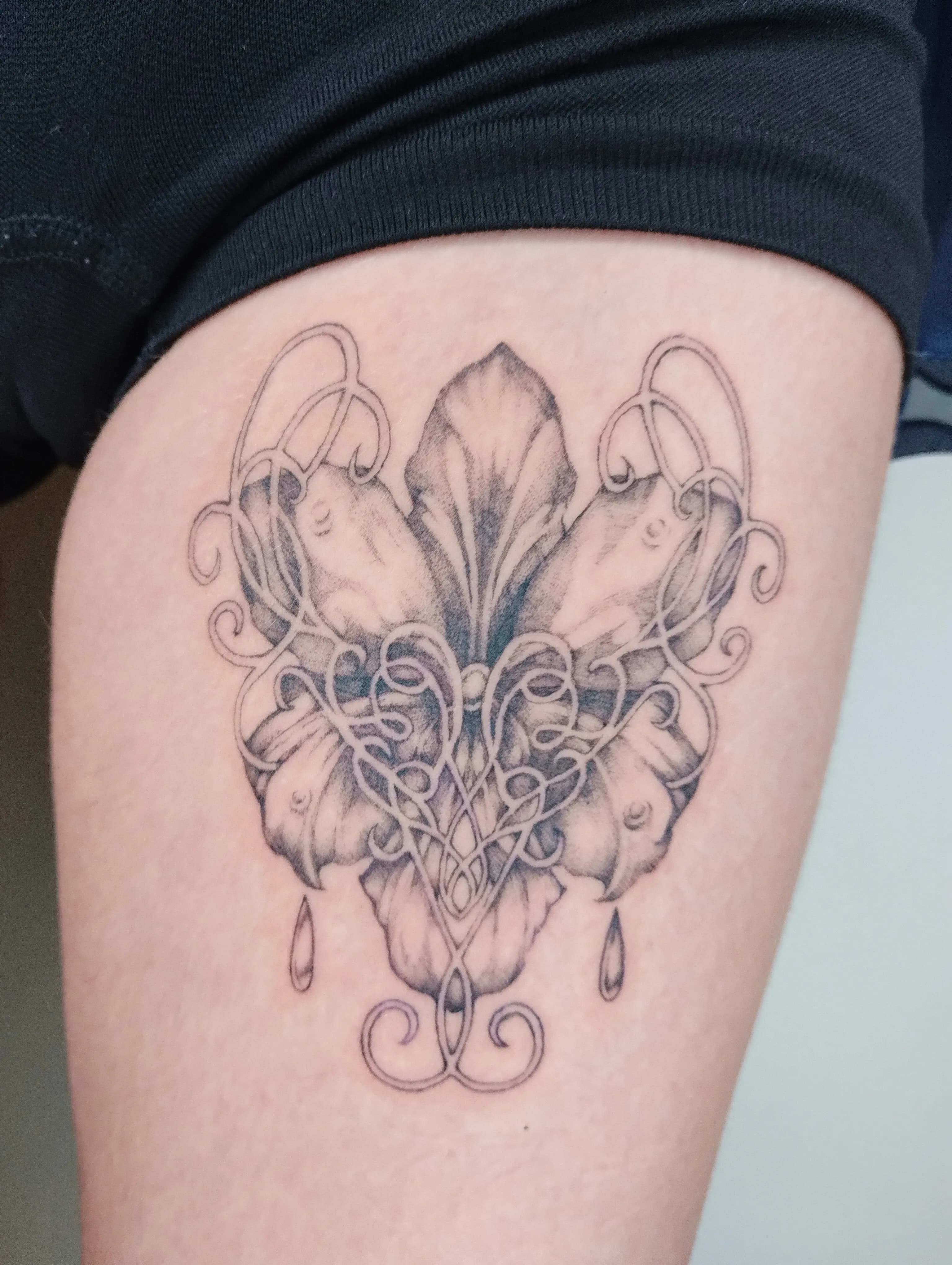 ornamental orchid 