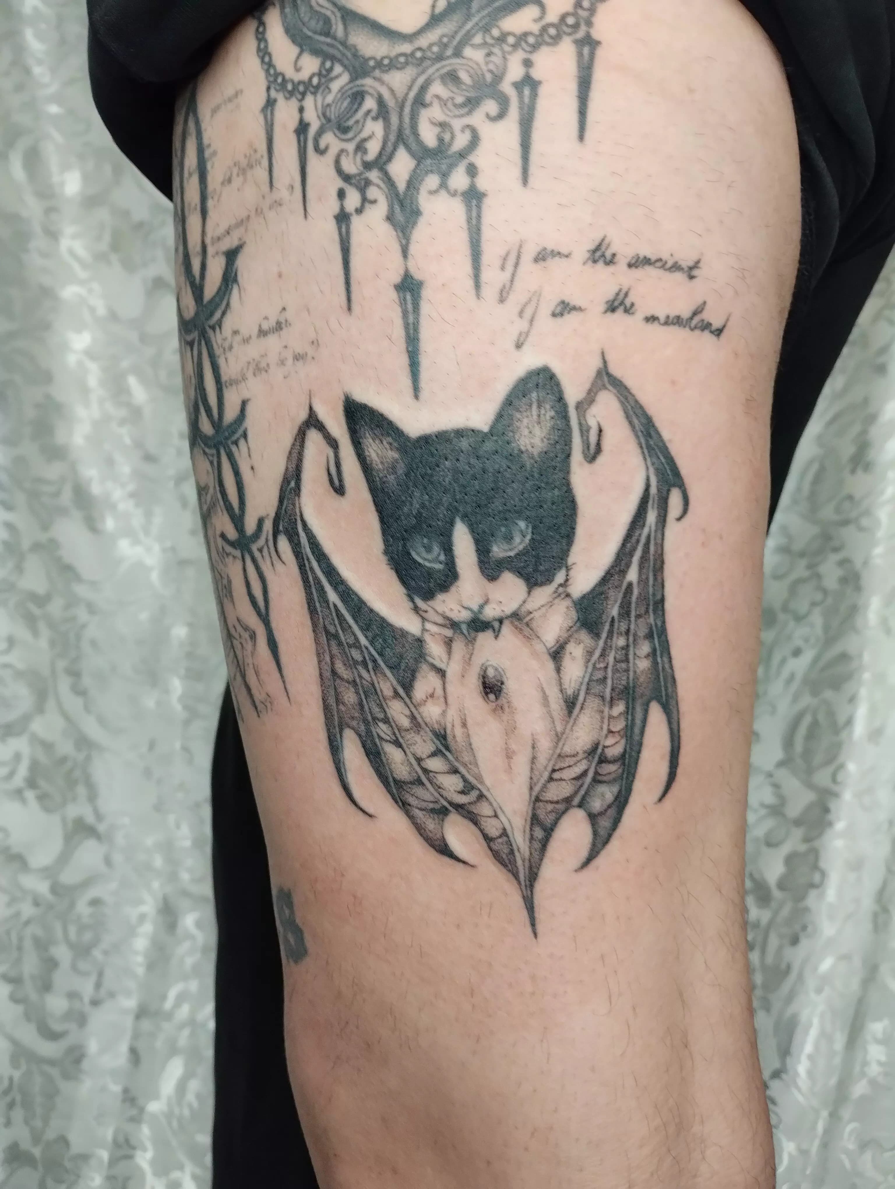 vampire cat portrait