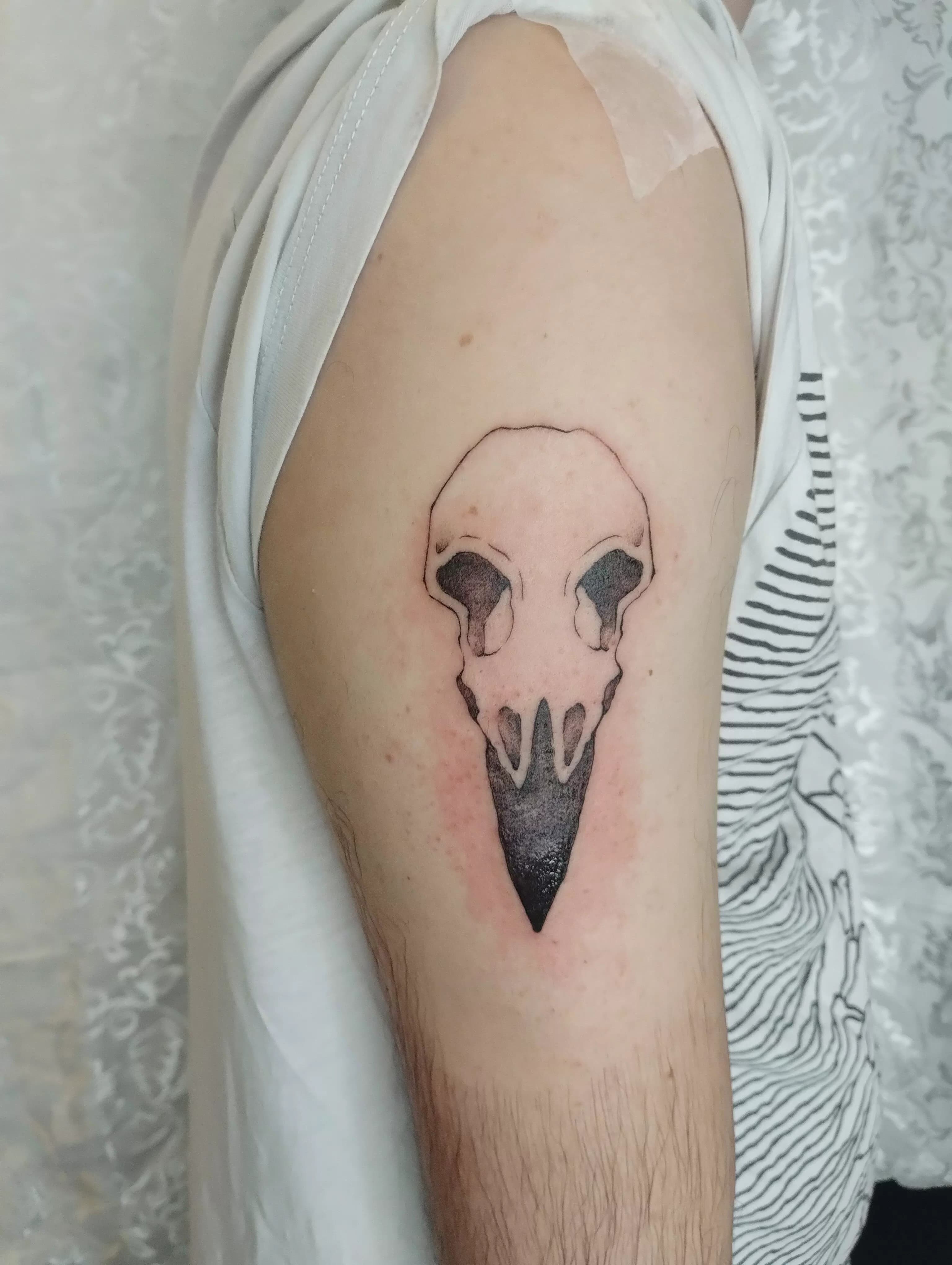 raven skull
