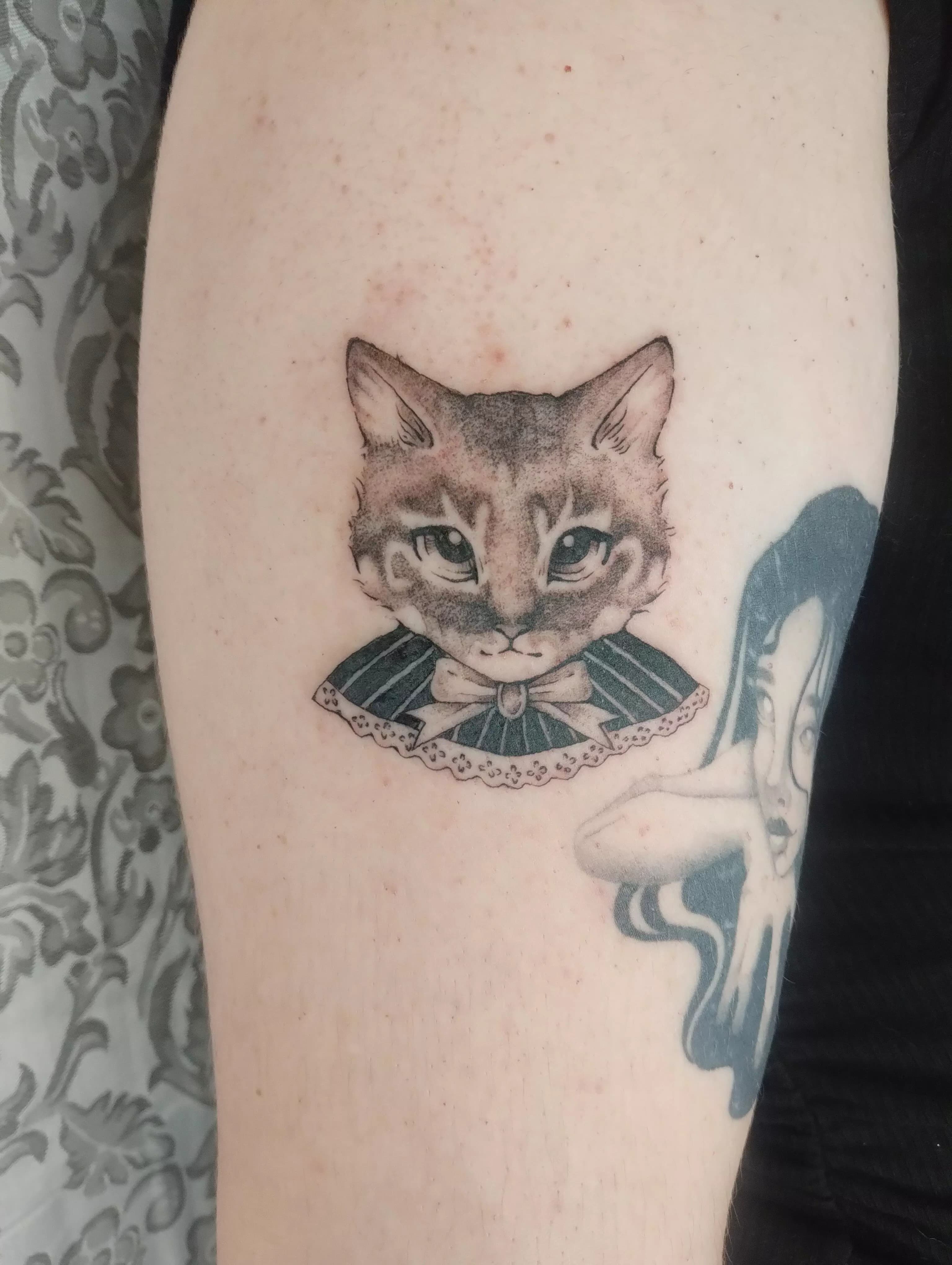 gothic cat portrait