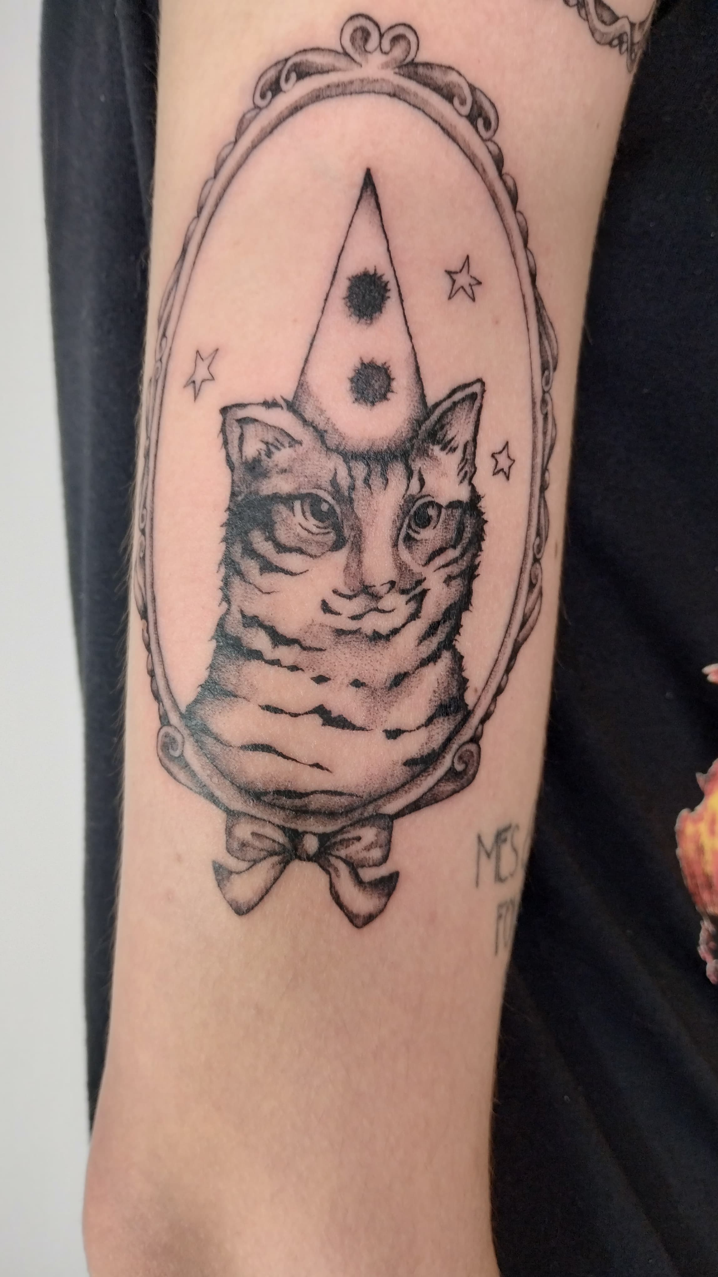 cat clown portrait