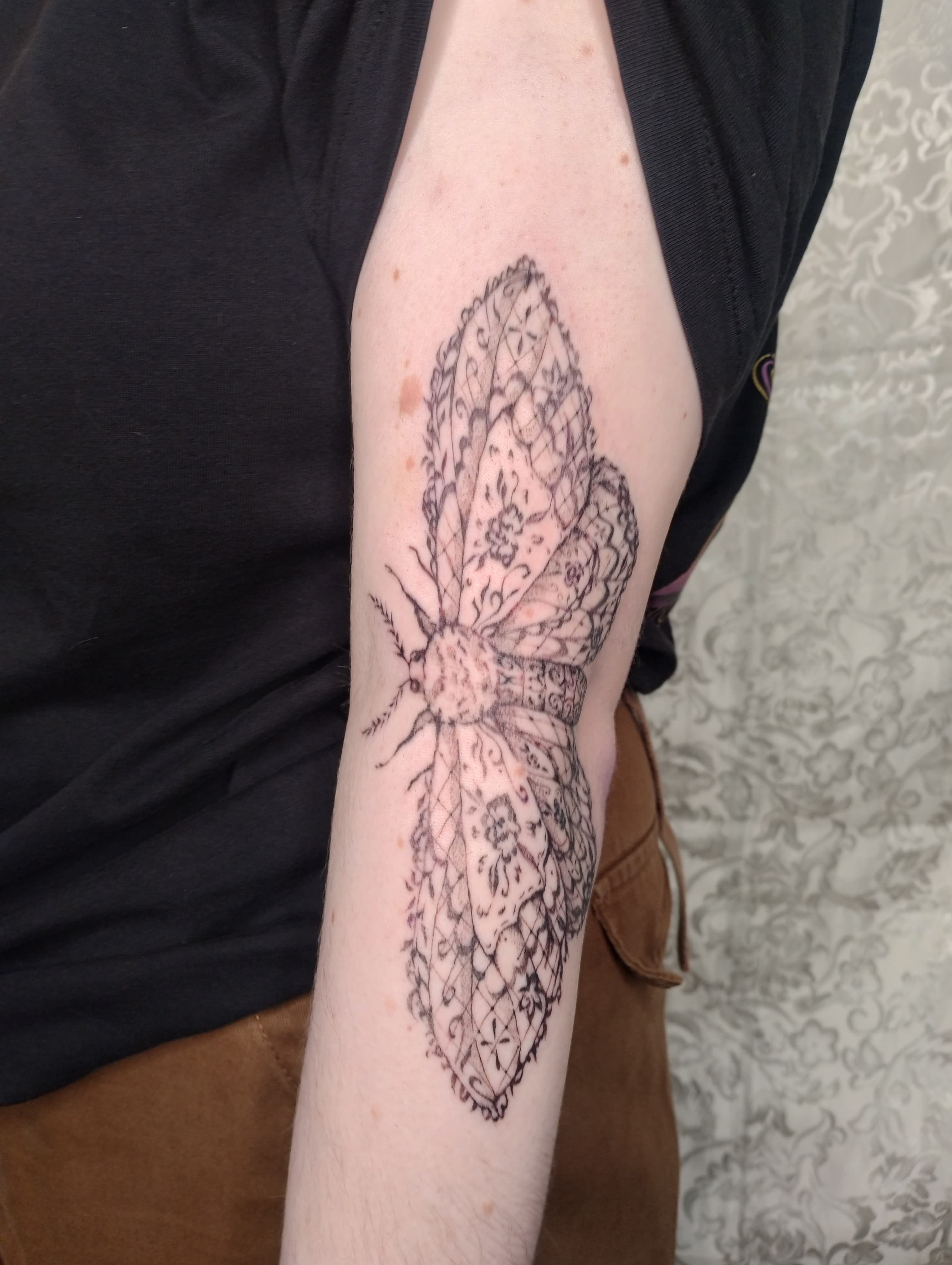 tattoo lace tatouage dentelle moth papillon
